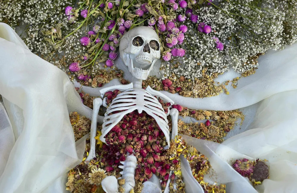 The Day in Photos – November 4, 2018