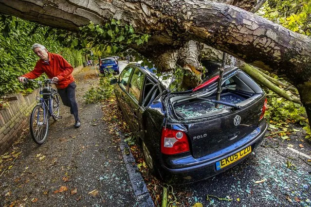 A car is crushed under a fallen tree as a man pushes his bike following a storm, in Hornsey, north London, on Oktober 28, 2013.  A major storm with hurricane-force winds is lashing southern Britain, causing flooding and travel delays including the cancellation of roughly 130 flights at London's Heathrow Airport. (Photo by Yui Mok/PA Wire)
