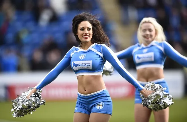 Football Soccer, Colchester United vs Tottenham Hotspur, FA Cup Fourth Round, Weston Homes Community Stadium on January 30, 2016: Cheerleaders. (Photo by Dylan Martinez/Reuters/Livepic)