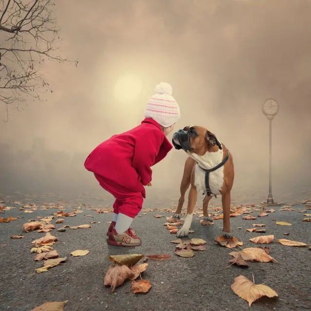 “Face to face”. (Photo by Ionut Caras)