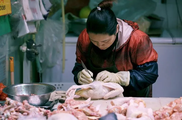 A vendor holds a chicken at her shop in a market in Beijing February 18, 2016. China's consumer inflation quickened in January due to rising food prices while producer prices declined for the 47th straight month, as falling commodity prices and weak demand add to deflationary pressure in the world's second-largest economy. (Photo by Jason Lee/Reuters)