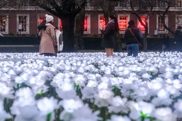 The Ever After Garden in Grosvenor Square, with 20,000 glowing white roses, for The Royal Marsden Cancer Charity. On December 19, 2022. (Photo by Matthew Chattle/Future Publishing via Getty Images)
