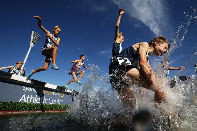 Competitors race in the U16 Boys Steeplechase during the Australian Track and Field Championships at Sydney Olympic Park Athletic Centre on April 03, 2019 in Sydney, Australia. (Photo by Matt King/Getty Images)