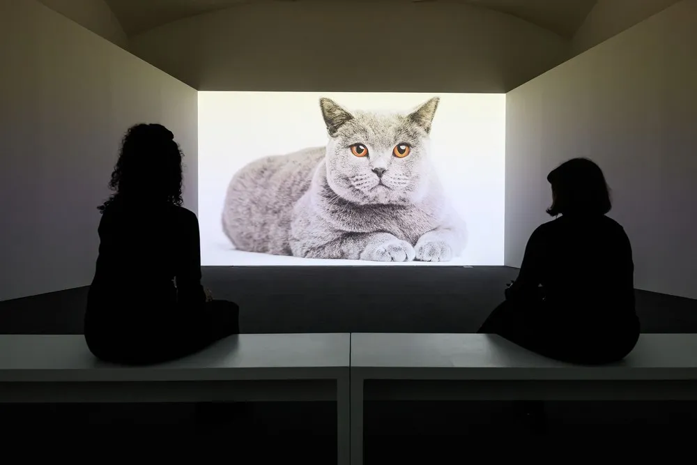 Some Photos: Contemporary Art