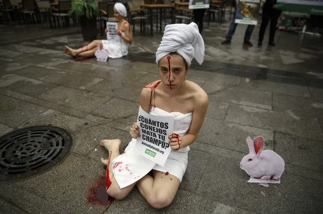 Animal rights activists covered with fake blood sit on the floor during a protest against the use of animals in research to mark World Day for Animals in Laboratories in central Madrid April 24, 2014. The sign reads, “How many rabbits do your shampoo kill?”. (Photo by Andrea Comas/Reuters)