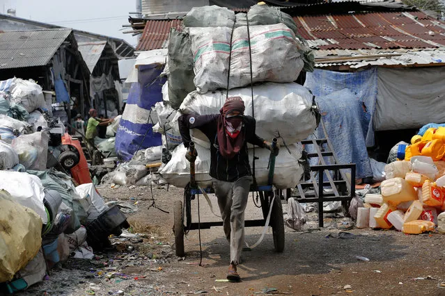 A worker pulls the cart containing plastics to be recycled at a collection point in Jakarta, Indonesia, Tuesday, September 17, 2019. (Photo by Tatan Syuflana/AP Photo)
