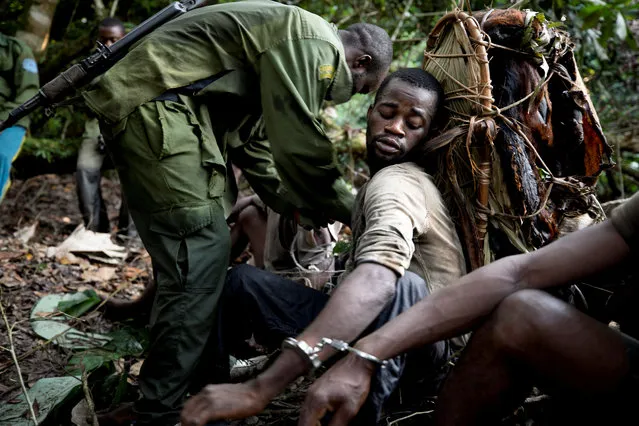 A poacher carrying bushmeat on his back, is detained by park rangers in Salonga National Park, Democratic Republic of the Congo, July 10, 2018. Hunting is prohibited in national parks, which means wildlife is more abundant so poachers often hunt inside the protected areas to find animals with greater ease. (Photo by Thomas Nicolon/Reuters)