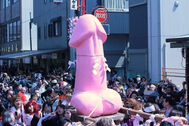 Members of the 'Elizabeth Club,' a club for non-professional transvestites and cross dressers, carry a large pink phallic-shaped 'mikoshi' float through the streets as part of the Kanamara festival (Festival of the Steel Phallus) on April 1, 2012 in Kawasaki, Japan