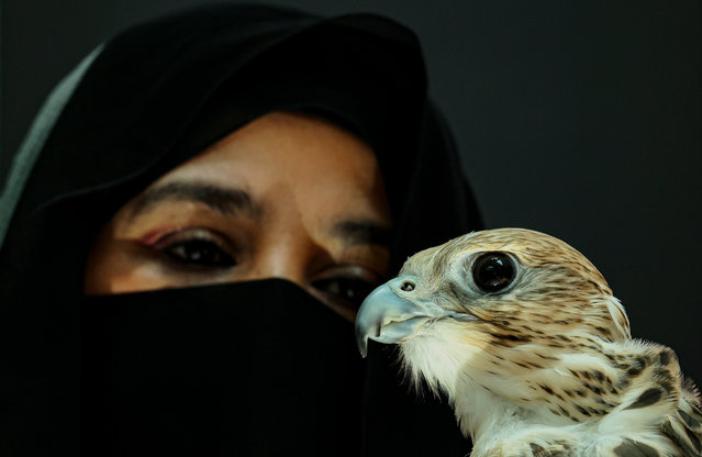 A female trainer carries her falcon at the Abu Dhabi International Hunting and Equestrian Exhibition (ADIHEX) at Abu Dhabi National Exhibition Center (ADNEC) in Abu Dhabi, United Arab Emirates, 31 August 2024. The 21st edition of ADIHEX is running till 08 September 2024, the exhibition is featuring thousands of brands across 11 diverse sector. (Photo by Ali Haider/EPA/EFE)