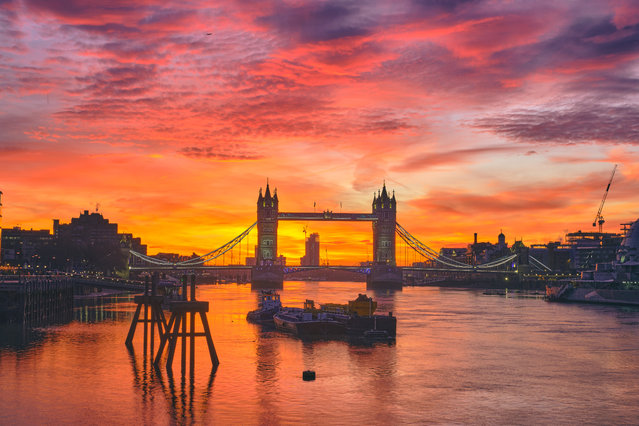 Sunrise over the River Thames and Tower Bridge in London today morning on January 28, 2024. It has been forecast that Sahara dust will be in the atmosphere. (Photo by Alister Gooding/Picture Exclusive)