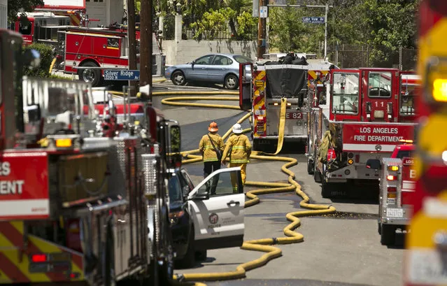 Los Angeles Fire Department trucks are deployed on a densely populated neighborhood after a brush fire swept through threatening homes in Los Angeles on Sunday, June 19, 2016. (Photo by Damian Dovarganes/AP Photo)