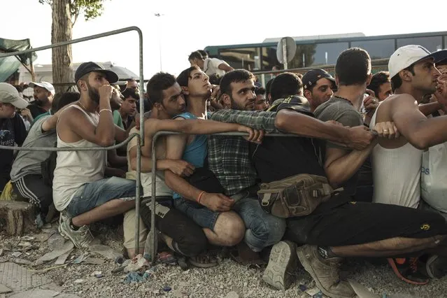Migrants queue to register with the police authorities in Mytilene on Lesbos island, on August 17, 2015. The European Union pledged to fast-track new funding to help debt-hit Greece cope with a surge in migrants, with hundreds coming ashore daily only to be confronted by often hellish conditions. (Photo by Achilleas Zavallis/AFP Photo)
