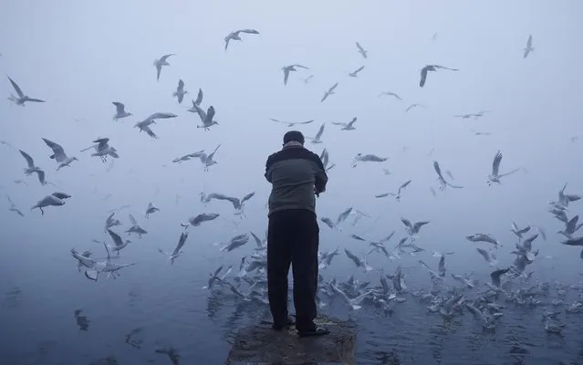 A man feeds seagulls as he stands on the banks of the Yamuna river on a foggy winter morning in New Delhi, December 30, 2019. (Photo by Adnan Abidi/Reuters)