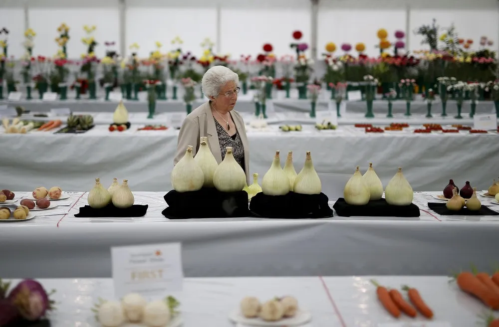 The Day in Photos – August 21, 2015