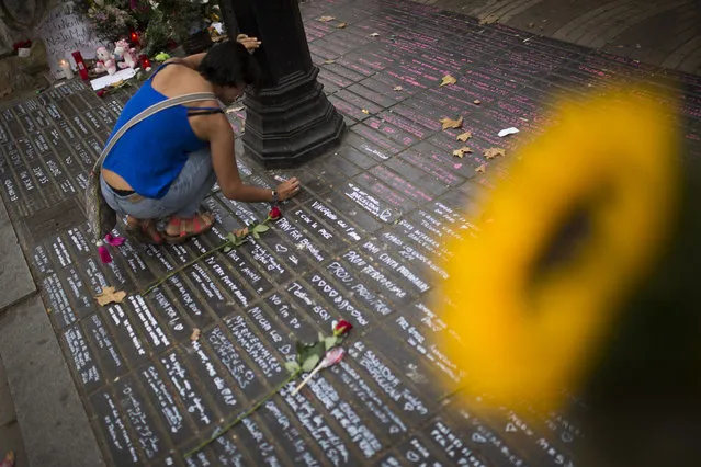 A woman writes a message on the ground as a memorial tribute after an attack that left many killed and wounded in Barcelona, Spain, Wednesday, August 23, 2017. Police in northeastern Spain said Wednesday they have found a belt charged with real explosives in a house used by the Barcelona attacks extremist cell. (Photo by Francisco Seco/AP Photo)