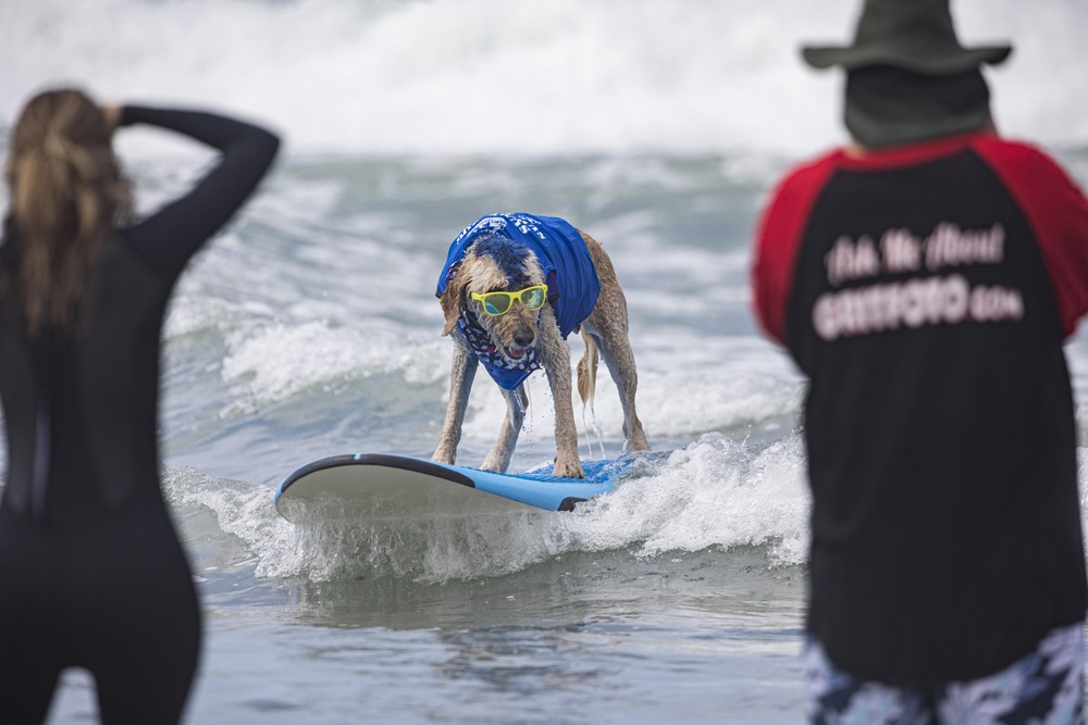 Pictures of the Year 2023, Part 170/224