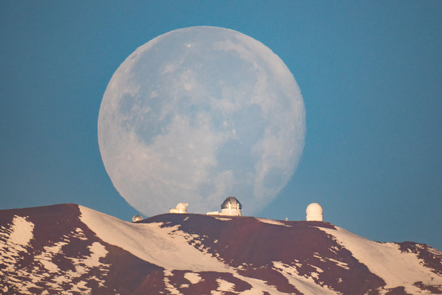 “Our moon”. Highly commended: Mauna Kea Moonset by Sean Goebel (USA) A giant moon looms behind the telescopes atop the snow-capped dormant volcano, Mauna Kea. Despite being in Hawaii, Mauna Kea is tall enough (4,200m) to accumulate snow during the winter. The telescopes are, from left to right, the UK Infrared Telescope, the University of Hawaii 2.2m telescope, Gemini North, and Canada France Hawaii Telescope. Hilo, Hawaii, USA, 13 January 2017 Canon EOS 7D Mark II, 1000 mm f/11 lens, ISO 320, 1/500-second exposure. (Photo by Sean Goebel/Insight Astronomy Photographer of the Year 2017)