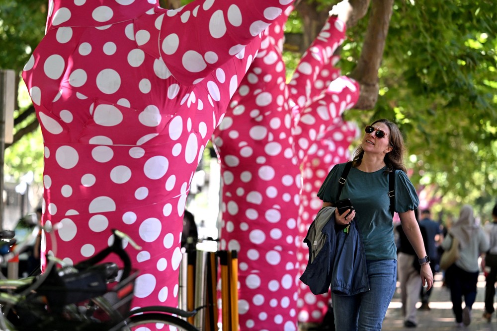 Some Photos: Contemporary Art