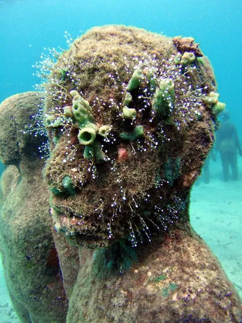 Monumental Underwater Museum MUSA; Jason deCaires Taylor; Silent Evolution