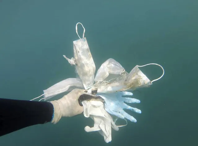 This photo taken on May 21, 2020 and provided Wednesday May 27, 2020 by environmental group Operation Mer Propre (Operation Clean Sea) shows a diver holding plastic gloves and face masks off Antibes, southern France. A French environmental group found this virus-era detritus littering the Mediterranean floor near the French Riviera resort of Antibes, and is trying to raise awareness and clean it up. (Photo by Operation Mer Propre via AP Photo)