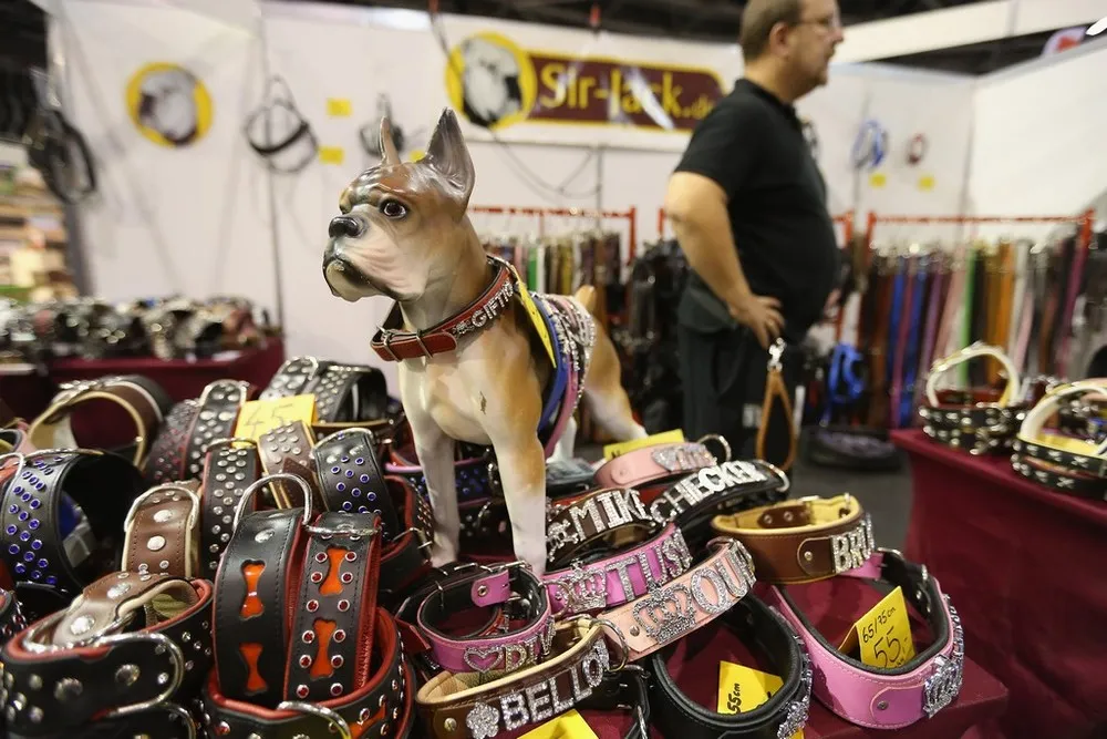 Animal Lovers Converge on Pet Fair