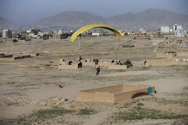Afghan paraglider Hussain, 31, is pictured in the air in Kabul, Afghanistan September 14, 2015. (Photo by Mohammad Ismail/Reuters)