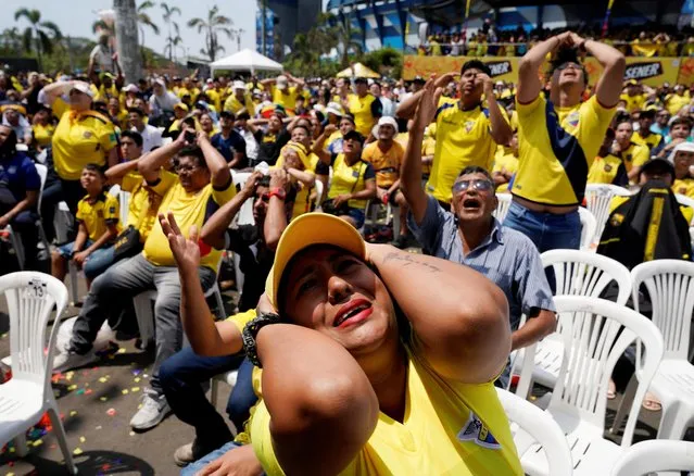 Ecuador's football fans reacts while watching the broadcast of the Qatar 2022 World Cup Group A football match between Ecuador and Senegal in Cumbaya, Ecuador, on November 29, 2022. (Photo by Santiago Arcos/Reuters)