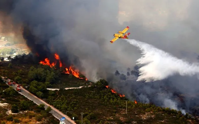 A seaplane drops water over a wildfire next to a residential area along the coastline near the Spanish resort of Javea, Valencia region, on September 5, 2016. More than 1,000 people were evacuated after a wildfire fuelled by intense heat roared through brush surrounding a popular tourist resort on Spain's Costa Blanca, officials said today. (Photo by Manuel Lorenzo/AFP Photo)