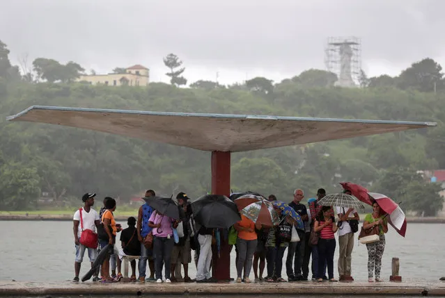 Cubans wait for a bus at a bus stop during rain in Havana, Cuba, August 30, 2016. (Photo by Enrique de la Osa/Reuters)