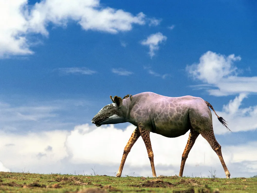 Hybrid Animals Photoshop