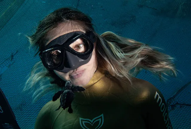 Turkish world record-holder free-diver of the Underwater Federation Sahika Ercumen, who is announced as âLife Below Water Advocateâ of Turkey by United Nations Development Programme, dives to witness the first steps of baby loggerhead turtles (Caretta caretta) in Mugla, Turkey on 18, 2020. Wounded sea turtles are treated at the Sea Turtles Research, Rescue and Rehabilitation Center (DEKAMER) within the scope of the Patara Sea Turtles Conservation and Monitoring Program supported by the Ministry of Environment and Urbanization. After their treatment, the turtles are kept under observation in special areas created in the sea to get used to their natural habitats. (Photo by Sebnem Coskun/Anadolu Agency via Getty Images)