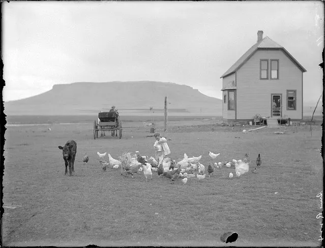 “Hancock homestead, July 23, 1910. Settler from Benson, Minn. Sun River project, Montana”. (Photo by Walter Lubken)