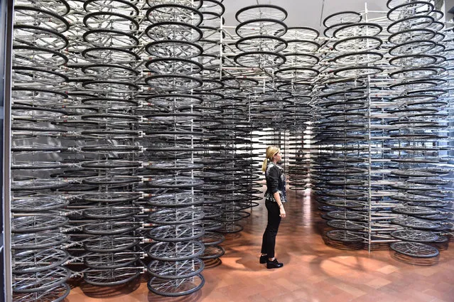 A visitor looks at the stacked bicycles of the installation “Stacked” by Chinese artist and activist Ai Weiwei, part of his exhibition “Ai Weiwei. Libero” (Ai Weiwei.Free) at Palazzo Strozzi in Florence, Italy, Sept. 21 2016. The exhibition opens on Sept. 23 through January 22, 2017. (Photo by Maurizio Degli Innocenti/ANSA via AP Photo)
