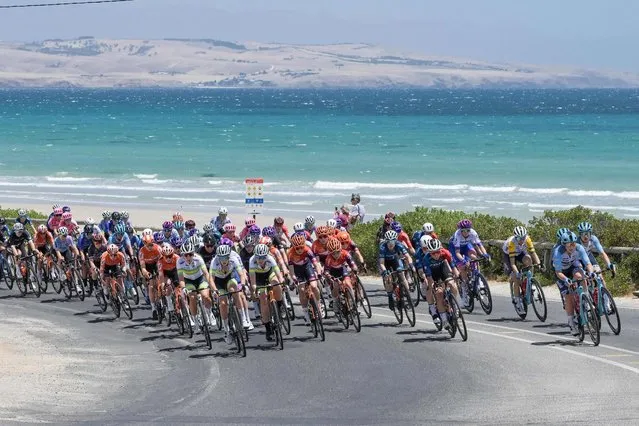 The peloton rides through the McLaren Vale wine district during stage one of the Women's Tour Down Under UCI cycling event in Adelaide on January 15, 2023. (Photo by Brenton Edwards/AFP Photo)