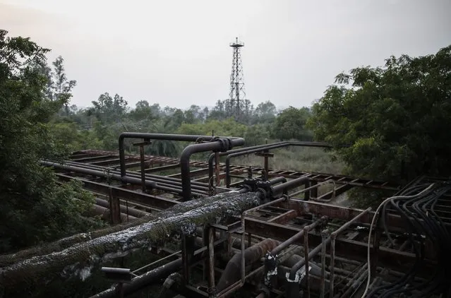 A network of pipes rust at the abandoned former Union Carbide pesticide plant in Bhopal November 14, 2014. (Photo by Danish Siddiqui/Reuters)