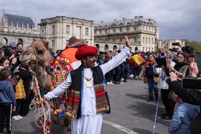 An Indian camel driver takes part in a camelids parade “the Amazing parade” in front of the Chateau de Vincennes near Paris, on April 20, 2024. On April 19, 2024, the Paris Administrative Court upheld a decision by the Prefecture of Police to ban a parade of some fifty camels, dromedaries, llamas and alpacas planned for April 20 in the area around the Eiffel Tower. (Photo by Alain Jocard/AFP Photo)
