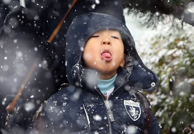 A preschool kid wearing a warm winter jacket sticks out his tongue to eat snow in the city of Daejeon, central South Korea, 26 November 2015, while waiting for a bus to his kindergarten. A heavy snow warning was issued for the region, with the mercury dropping to minus two degree Celcius. (Photo by Yonhap/EPA)