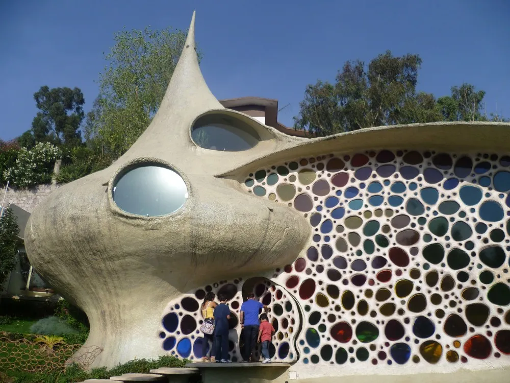 Living In A Shell – Nautilus House