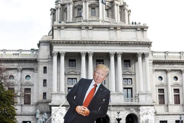 A cardboard cutout depicting U.S. President Donald Trump is seen in front of Pennsylvania State Capitol, as supporters of him are expected to protest against the election of President-elect Joe Biden, outside the Pennsylvania State Capitol in Harrisburg, Pennsylvania, U.S. January 17, 2021. (Photo by Rachel Wisniewski/Reuters)