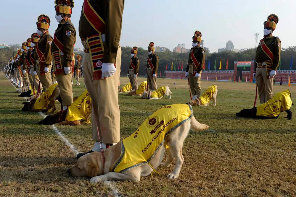 India last Week, Part 1/2