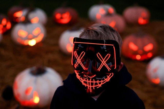A child wears a mask as he visits the Halloween light trail at Kew Gardens in London, Britain on October 17, 2024. (Photo by Hollie Adams/Reuters)
