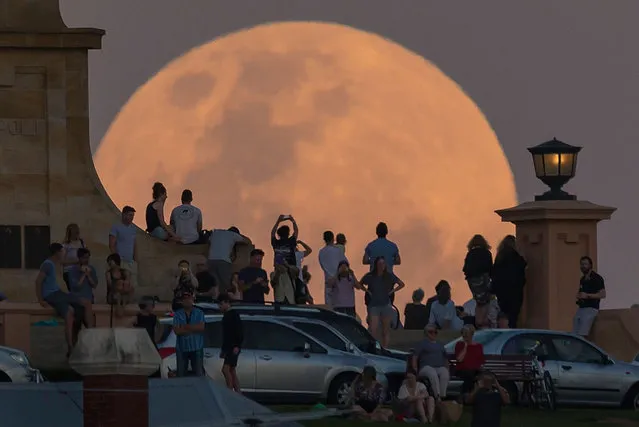 Crowds look on as the super moon rises behind the Fremantle War Memorial at Monument Hill on November 14, 2016 in Fremantle, Australia. A super moon occurs when a full moon passes closes to earth than usual, with the November 14th moon expected to be closer than it has been in over 70 years. (Photo by Paul Kane/Getty Images)