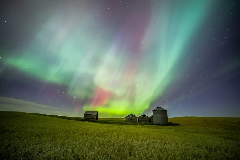 Auroras in Alberta