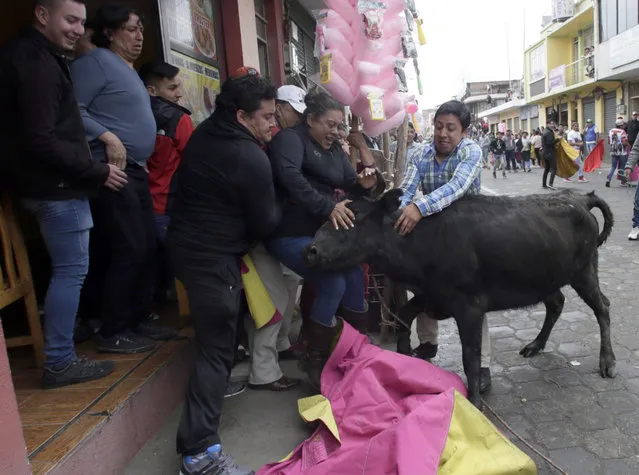 A young bull runs into a group of spectators standing on a sidewalk during the running of the bulls in Pillaro, Ecuador, Saturday, August 4, 2018. Dozens of bulls run through this small Andean city and allowed spontaneous bullfighters shine with their pirouettes and with more than one accident among the curious. (Photo by Dolores Ochoa/AP Photo)