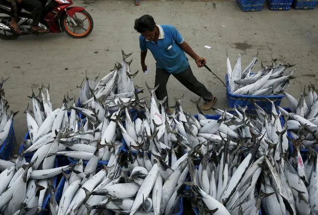 A worker drags a bucket of frozen tuna to sell at Muara Angke fish auction in Jakarta, January 4, 2016. Indonesia's annual inflation rate cooled to the lowest in six years in December, which might pave the way for the central bank to cut a benchmark rate held at 7.50 percent since February 2015. (Photo by Reuters/Beawiharta)