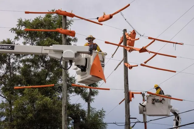 Workers with Pike Electric fortify power lines ahead of Hurricane Idalia in Clearwater, Florida, U.S., August 29, 2023. (Photo by Adrees Latif/Reuters)