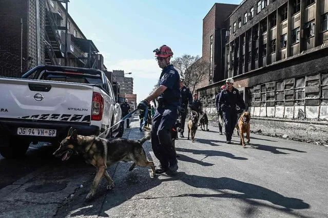 South African Police Service (SAPS) K-9 Unit arrive at the entrance of a burned apartment block in Johannesburg on September 1, 2023. More than 70 people have died in a fire that engulfed a five-storey building in central Johannesburg on August 31, 2023, the South African city's emergency services said. (Photo by Luca Sola/AFP Photo)