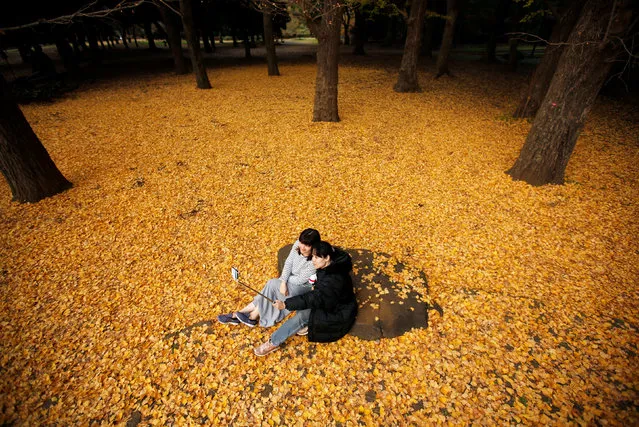 Tourists from Taiwan take selfie photos among ginkgo leaves at Yoyogi park in Tokyo, Japan on November 29, 2018. (Photo by Issei Kato/Reuters)