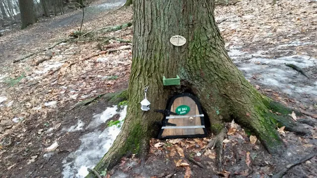 This February 21, 2016, photo shows one of several gnome homes along Fisherman's Trail in Little Buffalo State Park in Newport, Pa. Park Manager Jason Baker told the Pennlive.com that he gave the OK originally for for Steve Hoke to create the mini houses, but it was later decided the homes could affect wildlife habitat. Hoke removed the little abodes Monday after being told he had until Feb. 29. (Photo by Deb Kiner/PennLive.com via AP Photo)