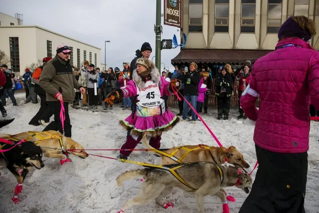 Alaskan musher DeeDee Jonrowe heads to the ceremonial start of the Iditarod Trail Sled Dog Race in downtown Anchorage, Alaska March 5, 2016. (Photo by Nathaniel Wilder/Reuters)